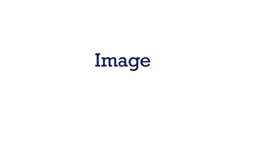 dummy-image_converted
